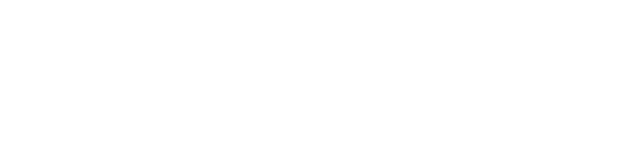 Erica Lane Photography Logo